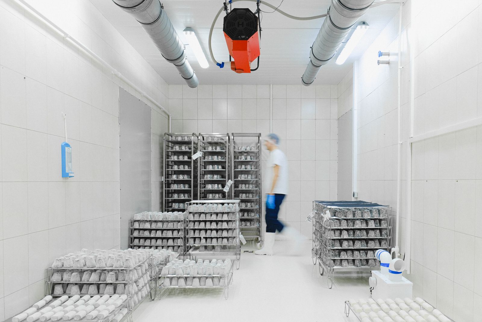 Interior de una instalación de almacenamiento en frío en funcionamiento